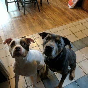 Meet your Posher, Teagan